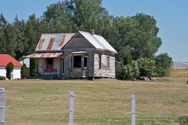 New Zealand 09 10  107